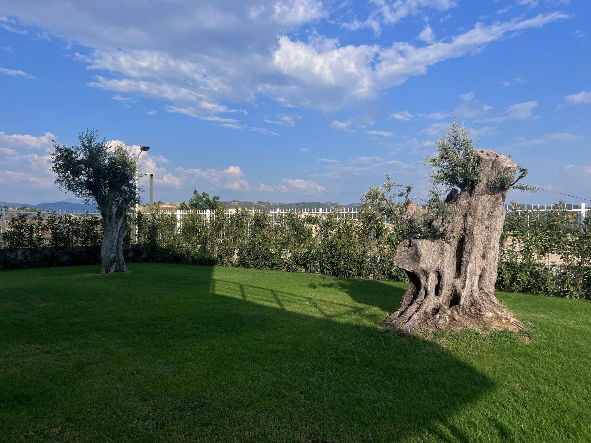 Villa Esmi Durres Kryemedhej Exterior photo